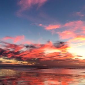 Meet your Posher, Amelia